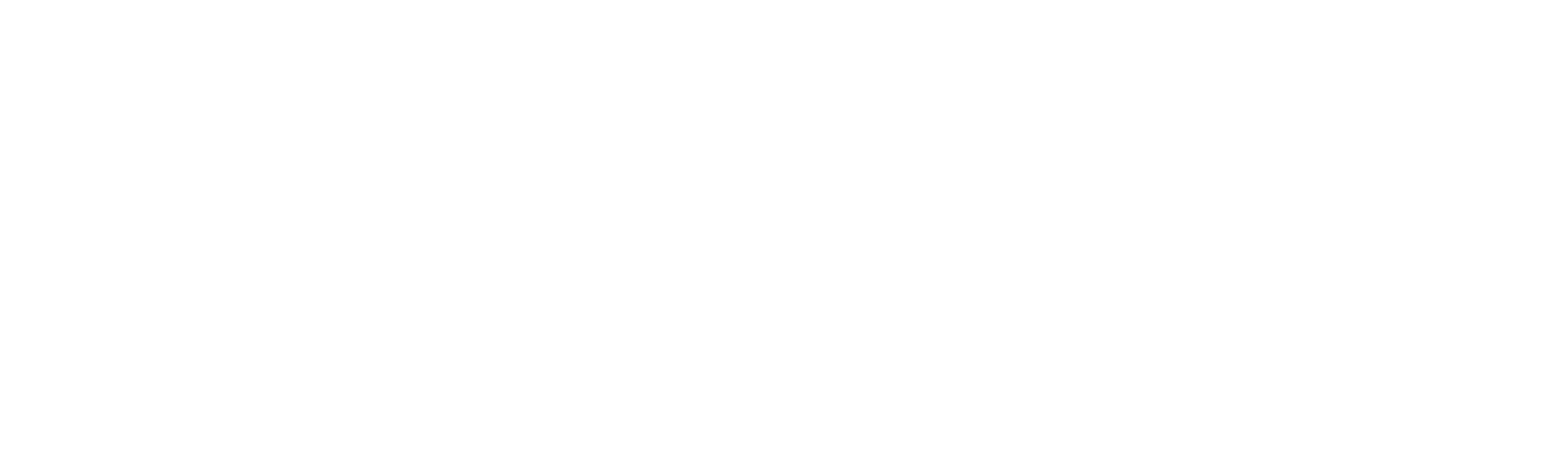 Pneumaluna Proyectos